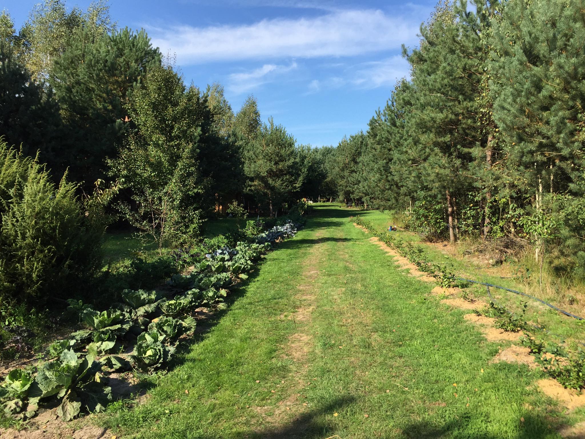 119631287_367628564609939_3410066890021394283_o