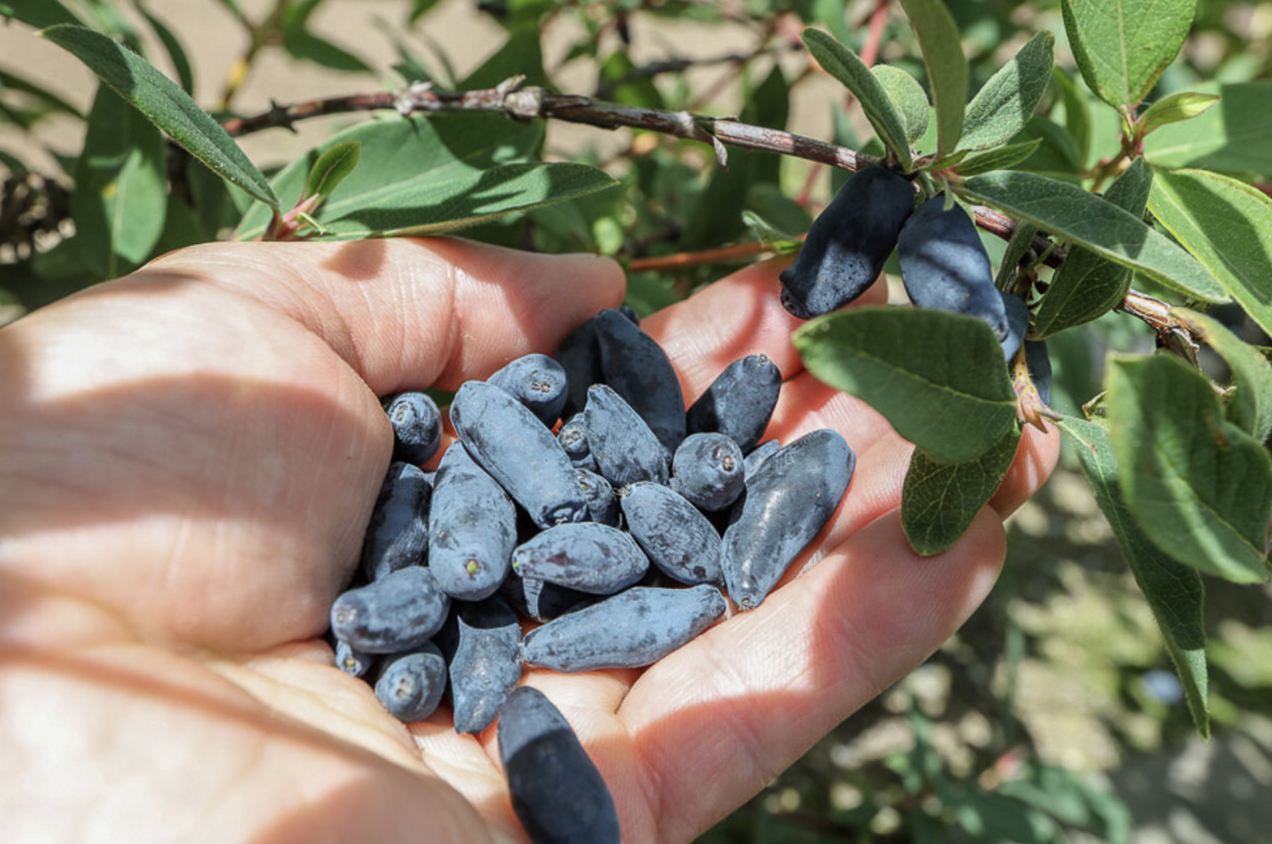 3C67F0E6-2670-4635-BA1D-5BCA02CDA857