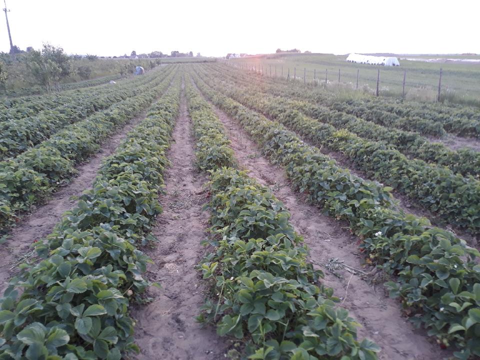 Resized_20210615_204101_4118