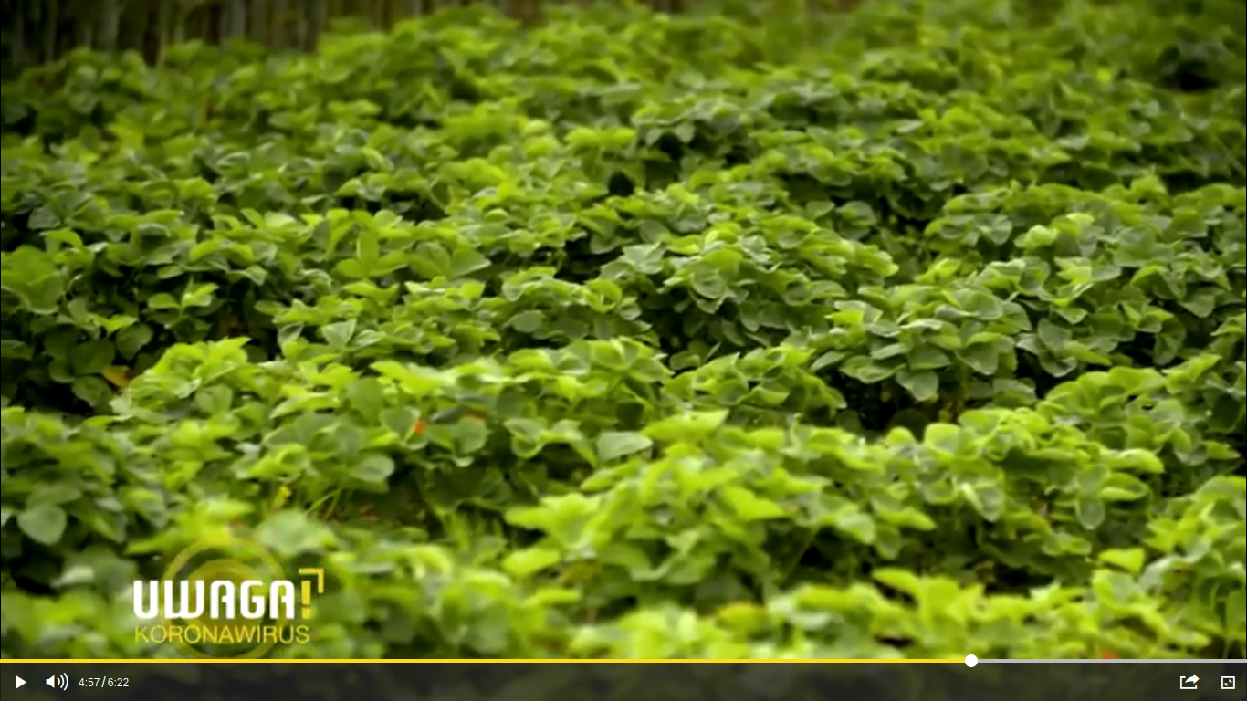 Zrzut-ekranu-z-2021-06-17-19-14-10