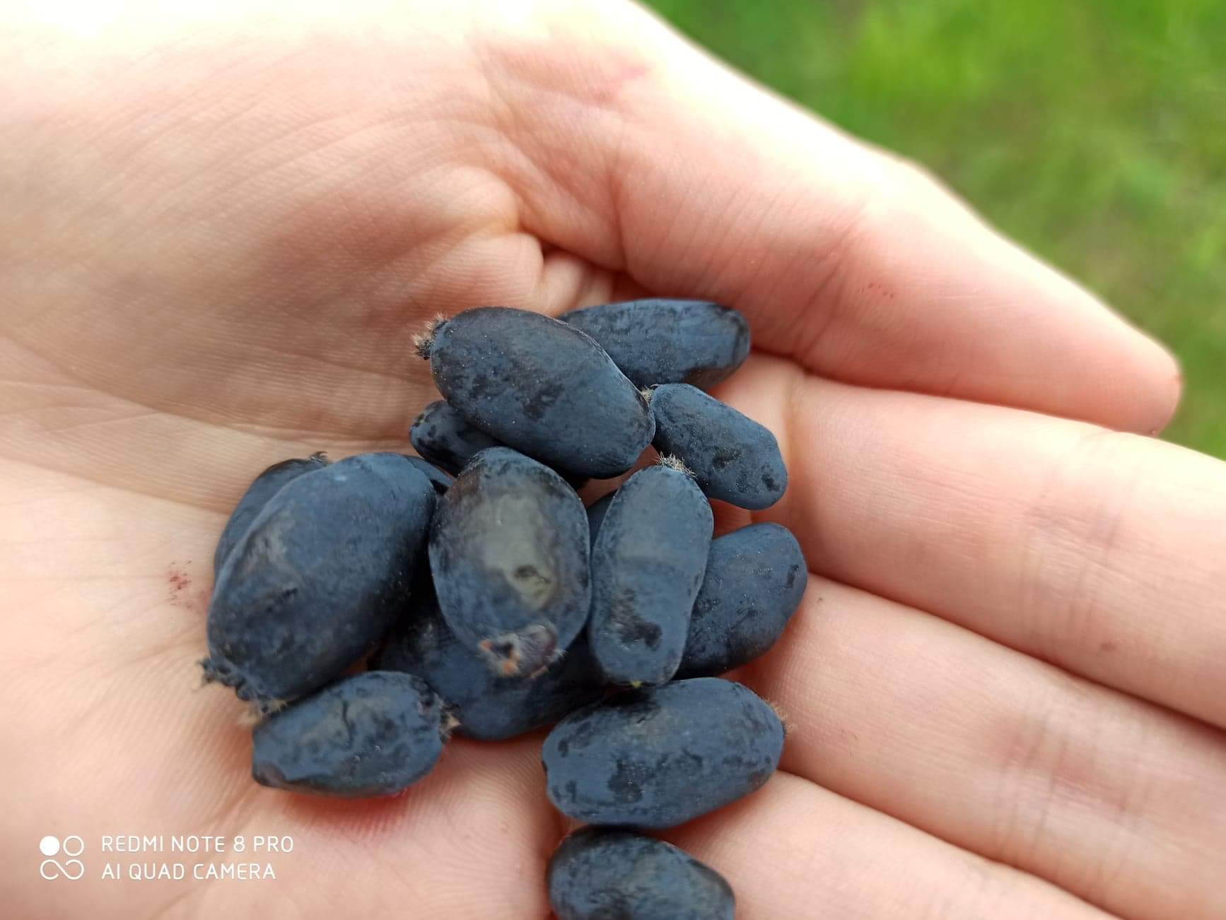 received_1716643818527546