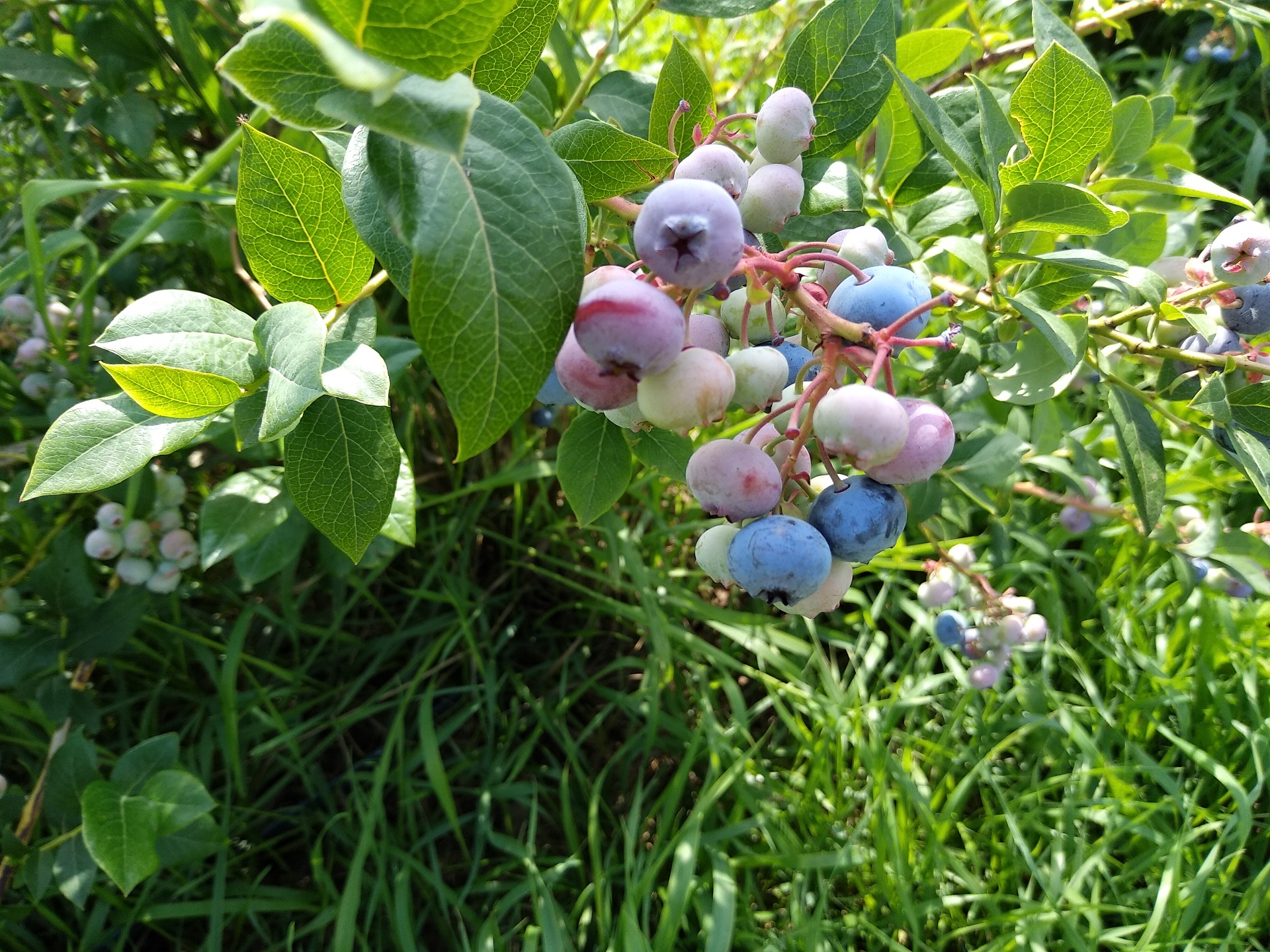 IMG_20210722_1050511