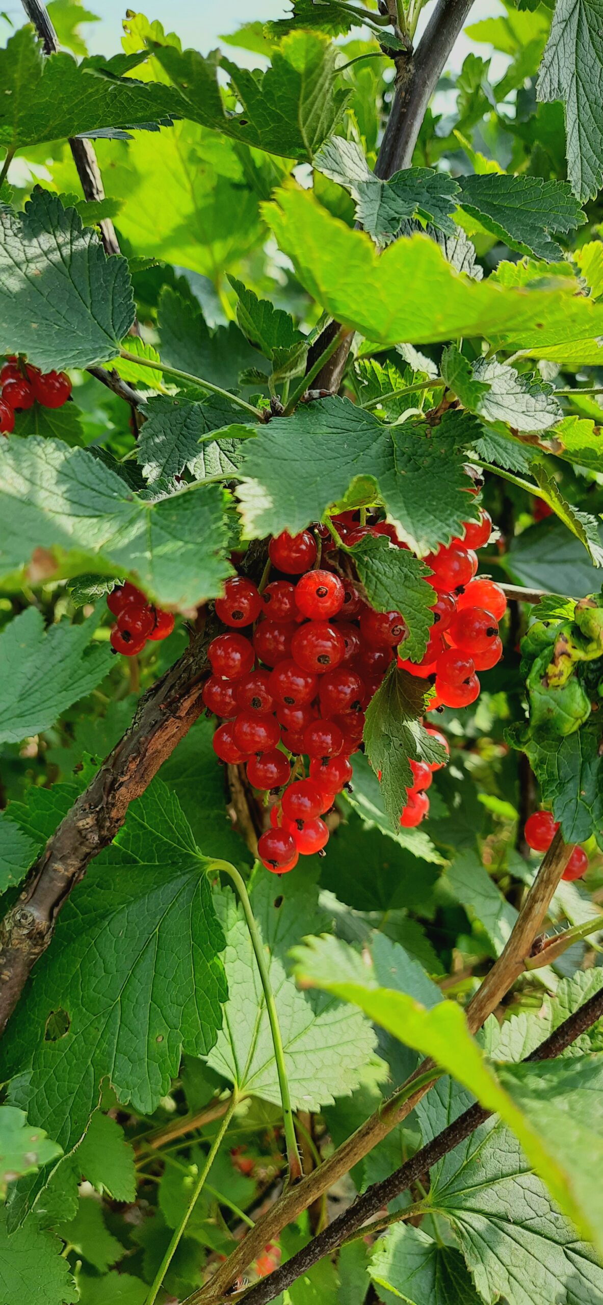 inbound2003933957359139438