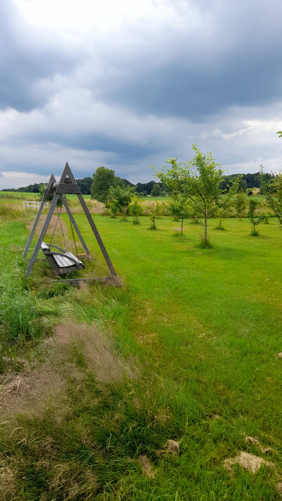 inbound5269298038617604297