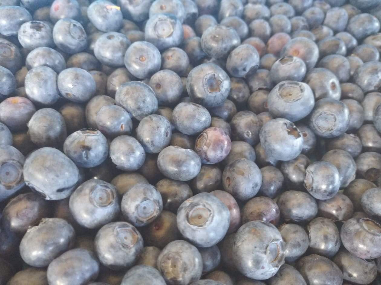 received_537621684256421