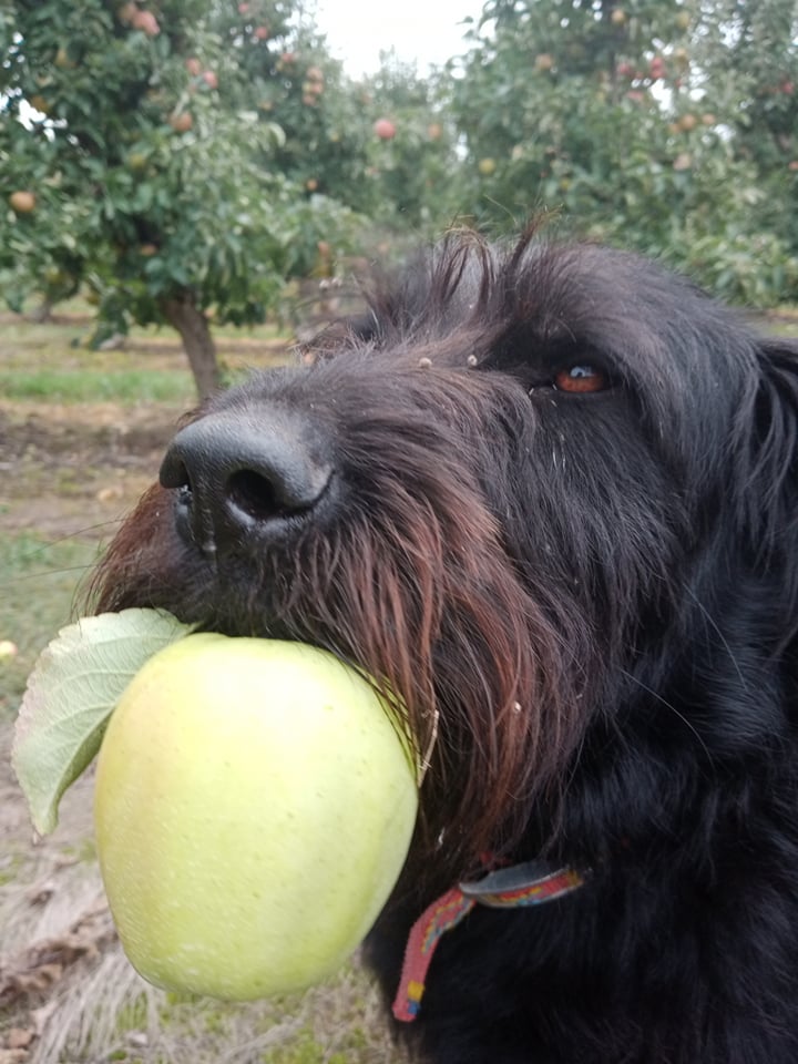 244410761_384938596625804_329745122307574317_n