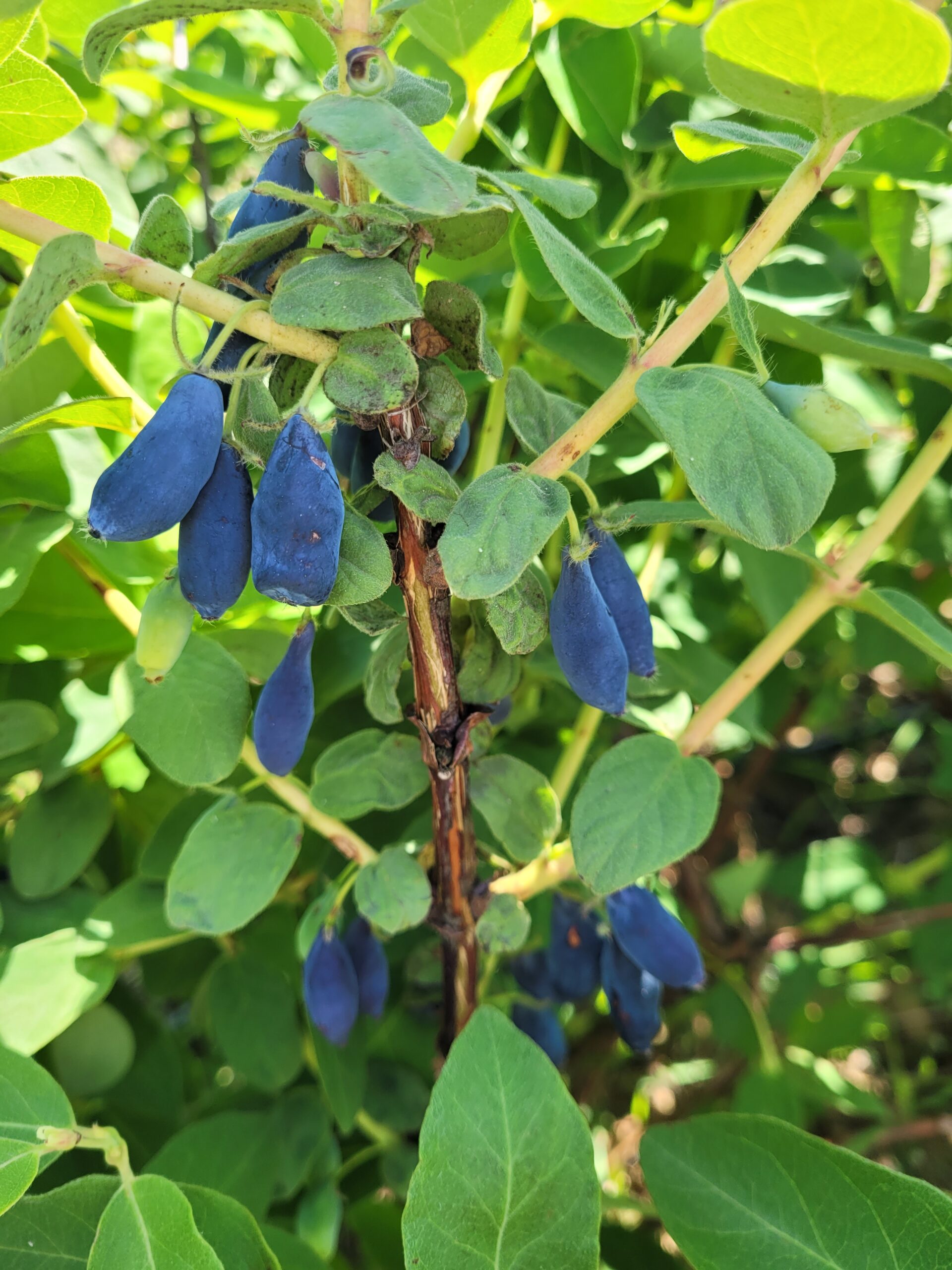 20220606_101612-scaled-1