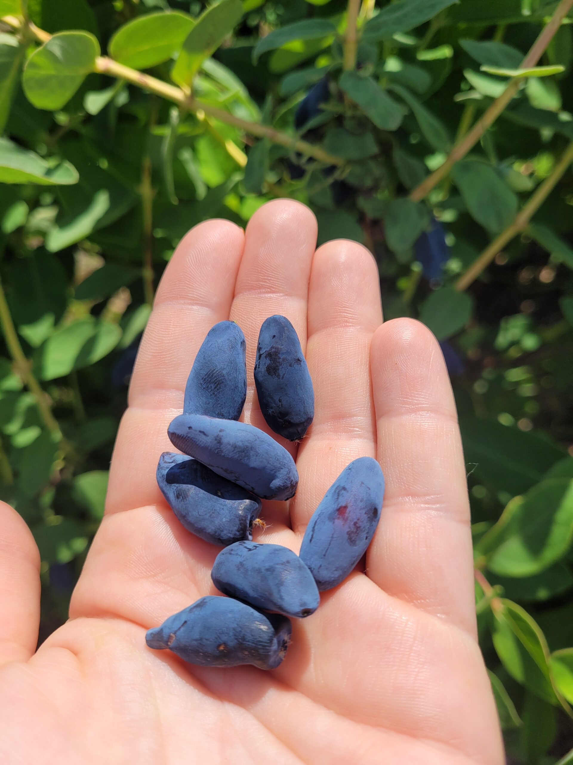 20220606_101625-scaled-1