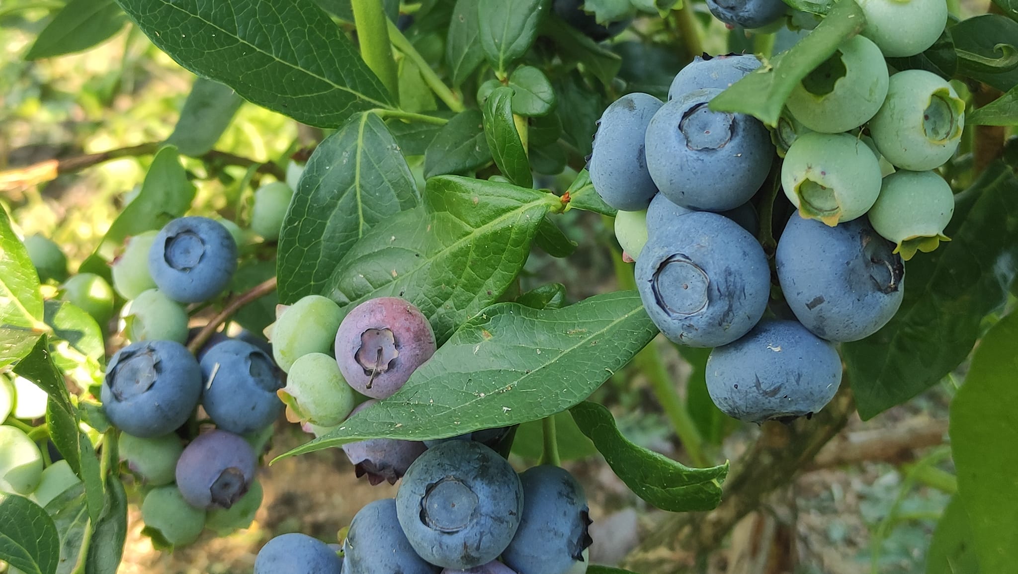 278853749_104271308944323_3127826895717465422_n