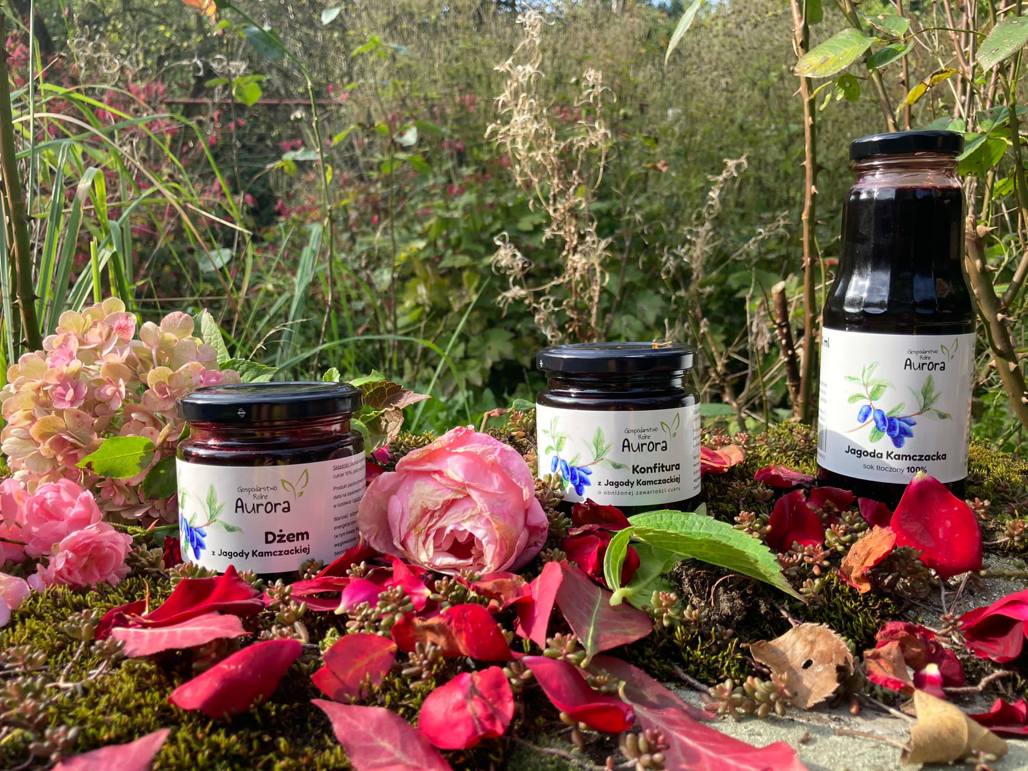 IMG-20211011-WA0000-1