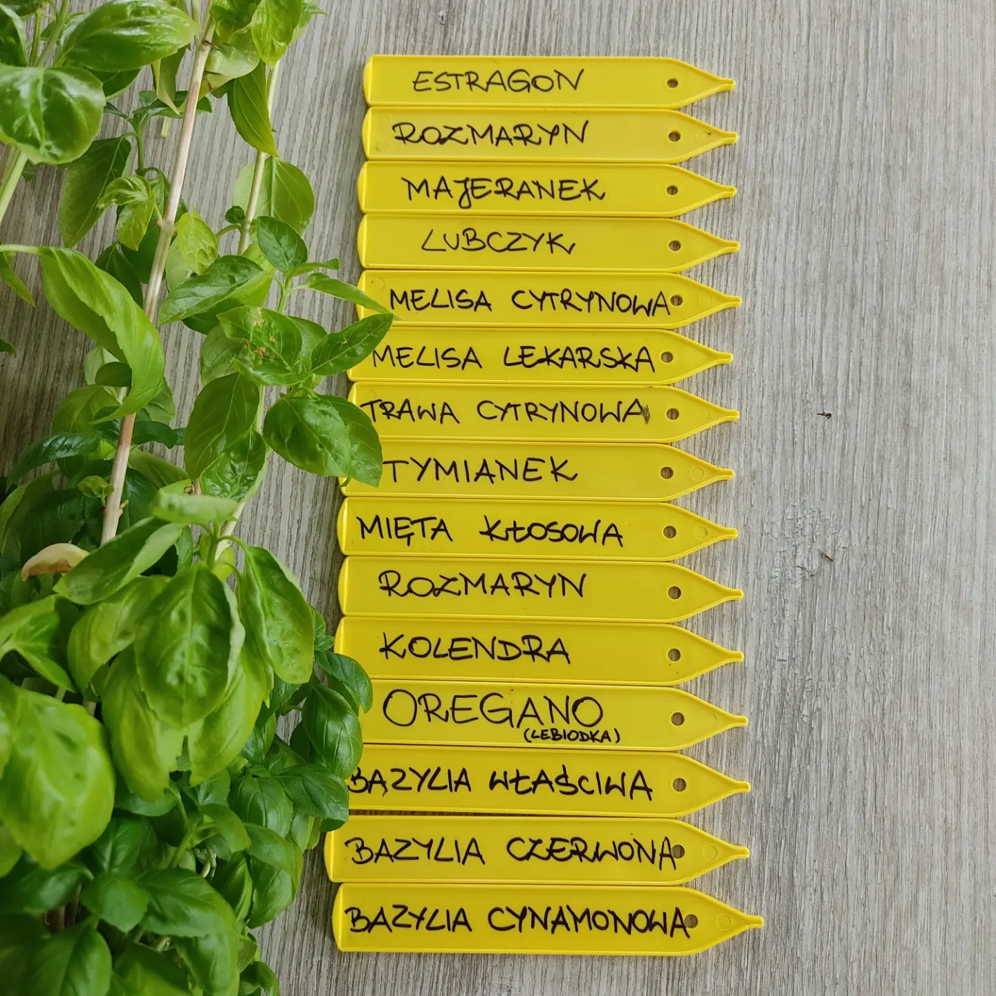 IMG_20220604_171024_935