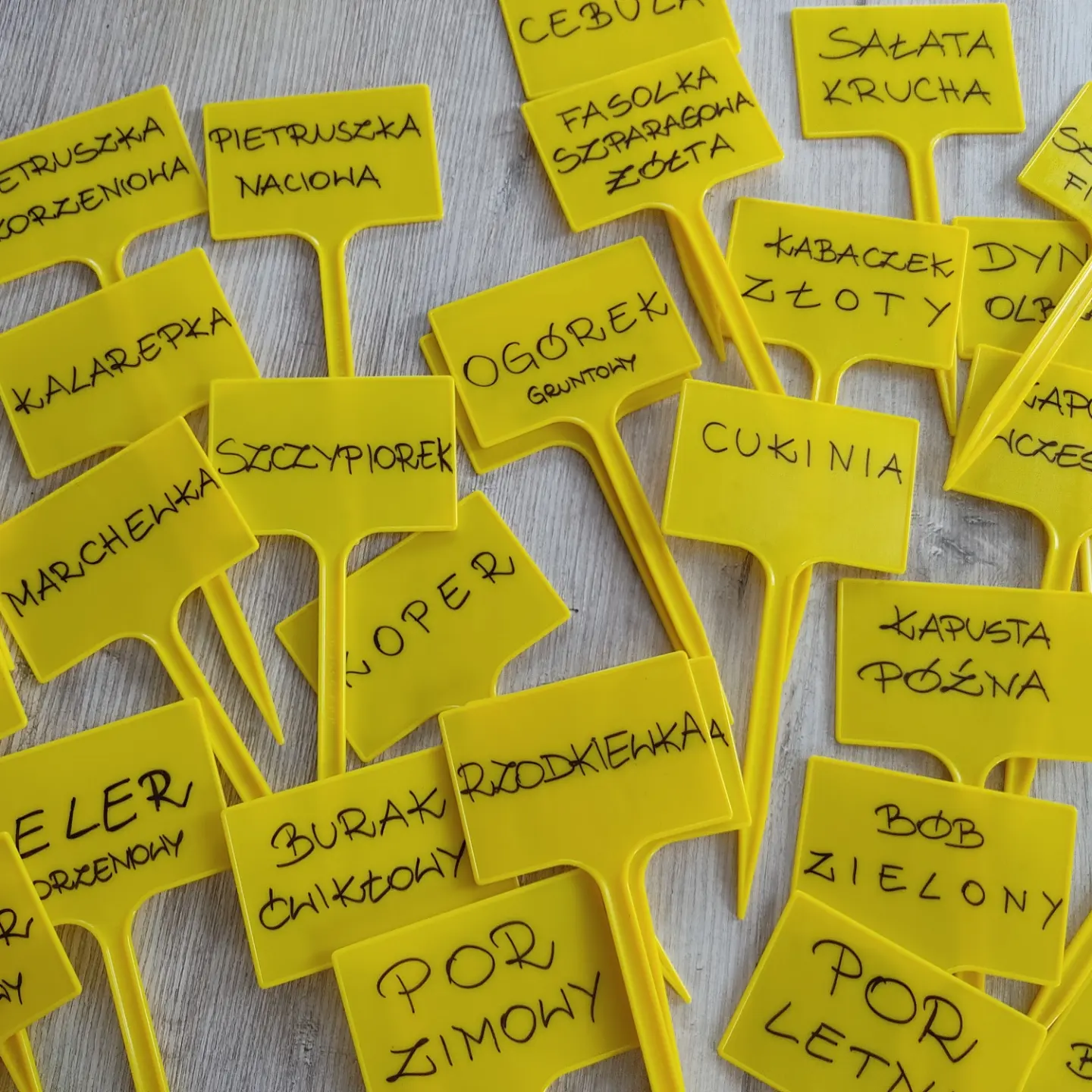 IMG_20220604_171025_170