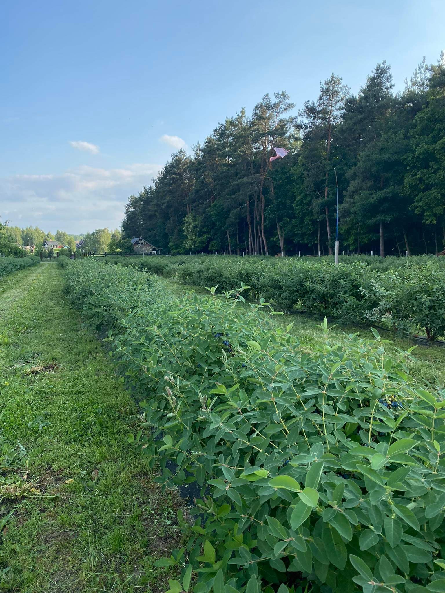 received_771087527583881