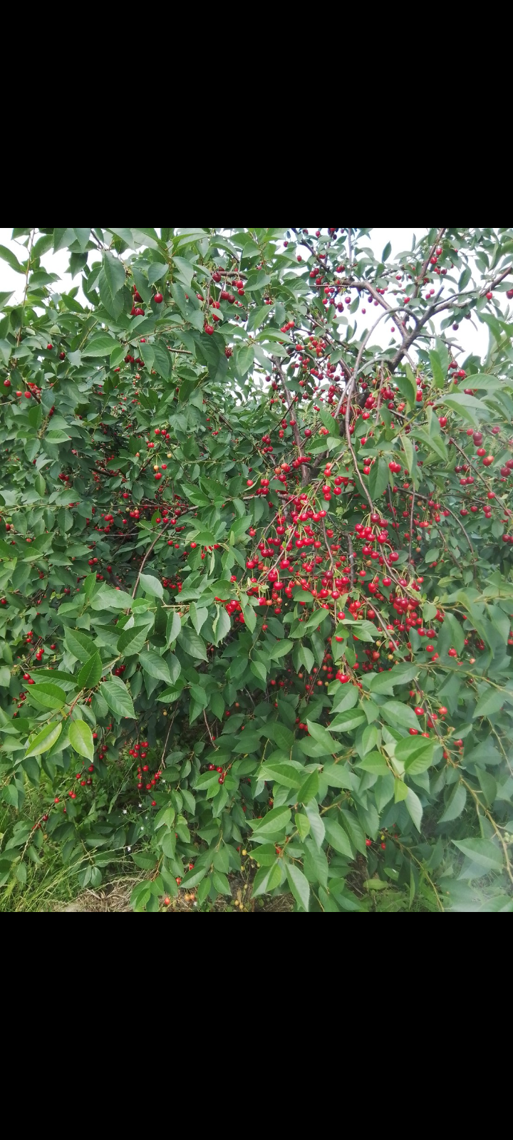 Screenshot_20220714-202923