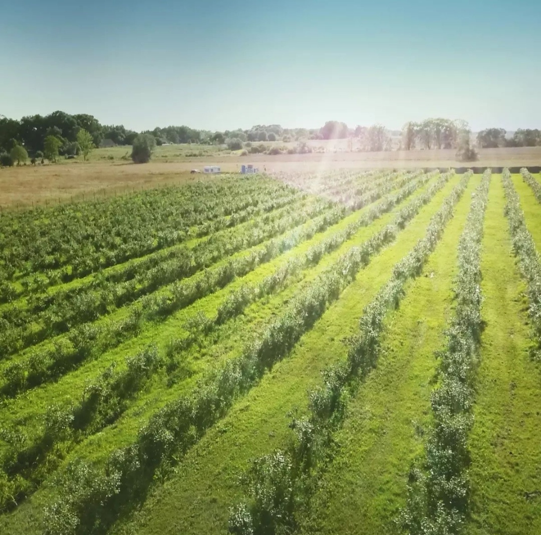 Screenshot_20220722_143313_pl.tablica_edit_1469630176487726