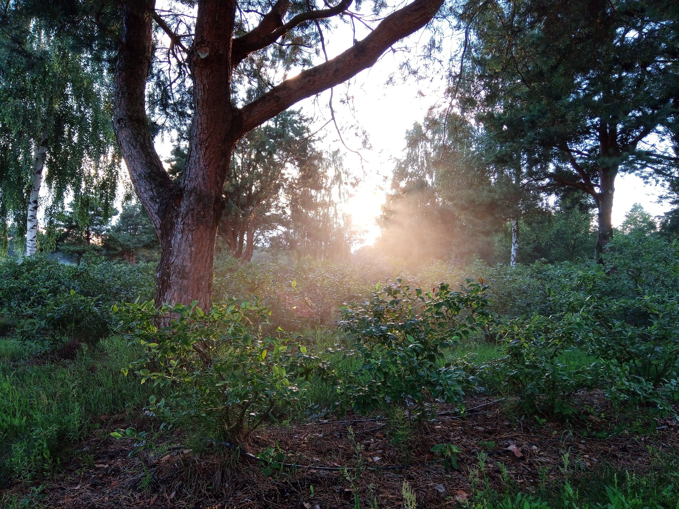 rsz_1rsz_img_20220713_194444