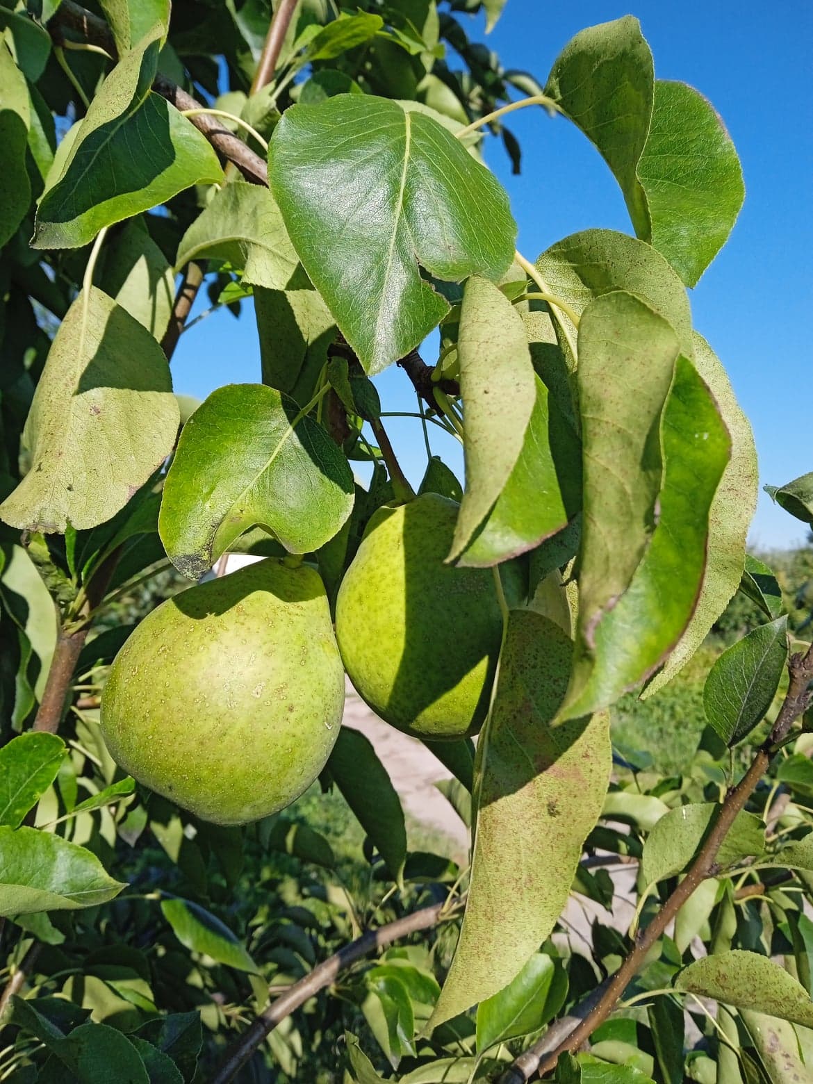 297124235_1444287875993070_1605673194842444161_n