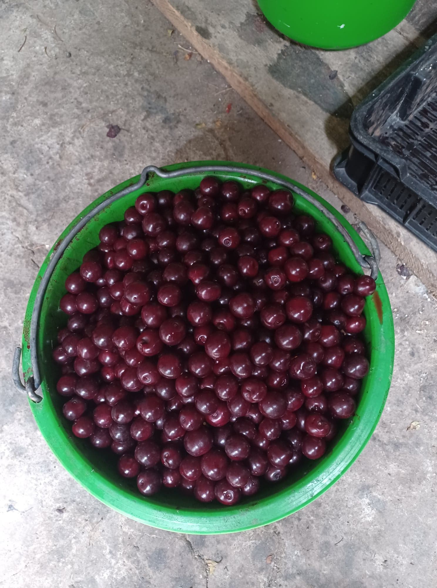 298516713_1457459804699328_6634738212115950250_n