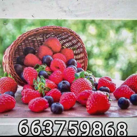 299433839_5469023919840098_7191313974074587462_n