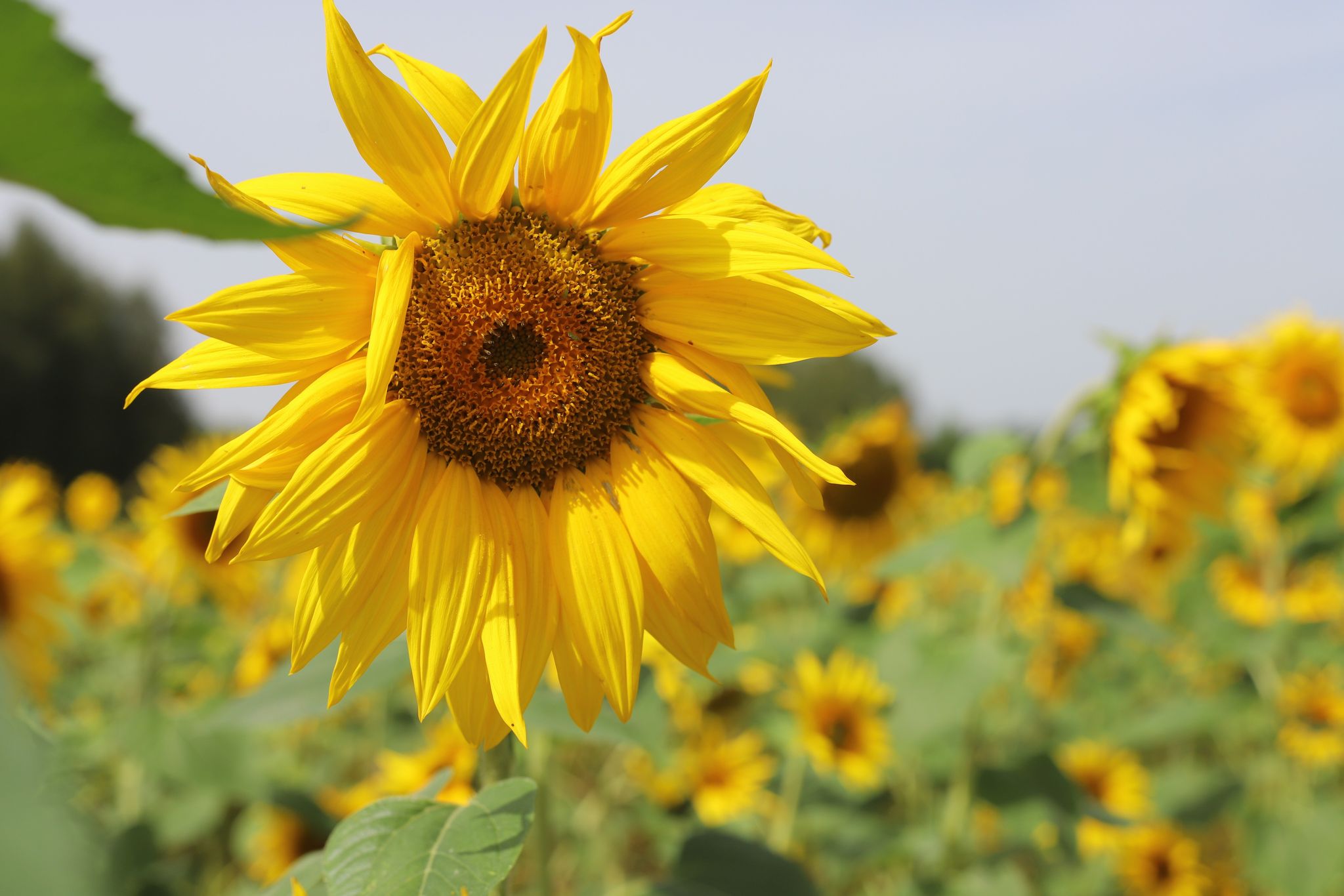 300884546_395965762619654_6987629445105892511_n