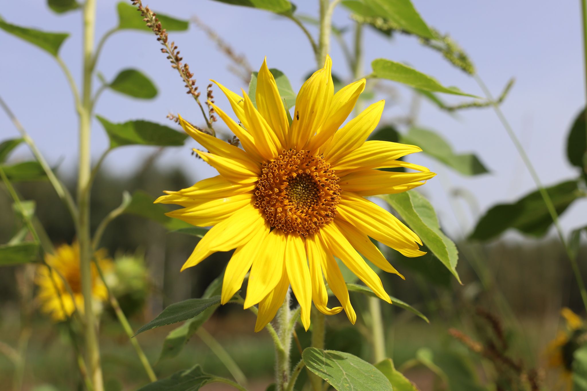 300975543_399358068974936_6434245634441779329_n