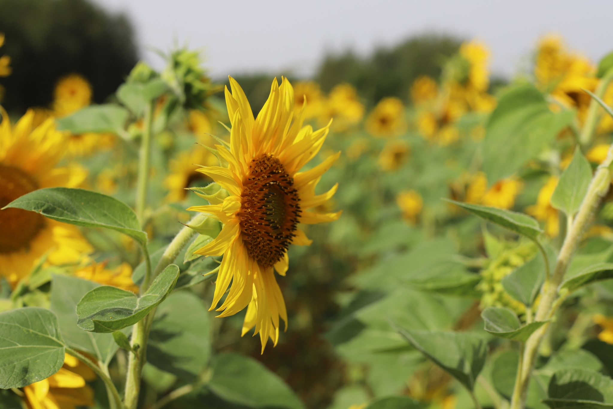 301022672_761152718468192_9189588233635166638_n