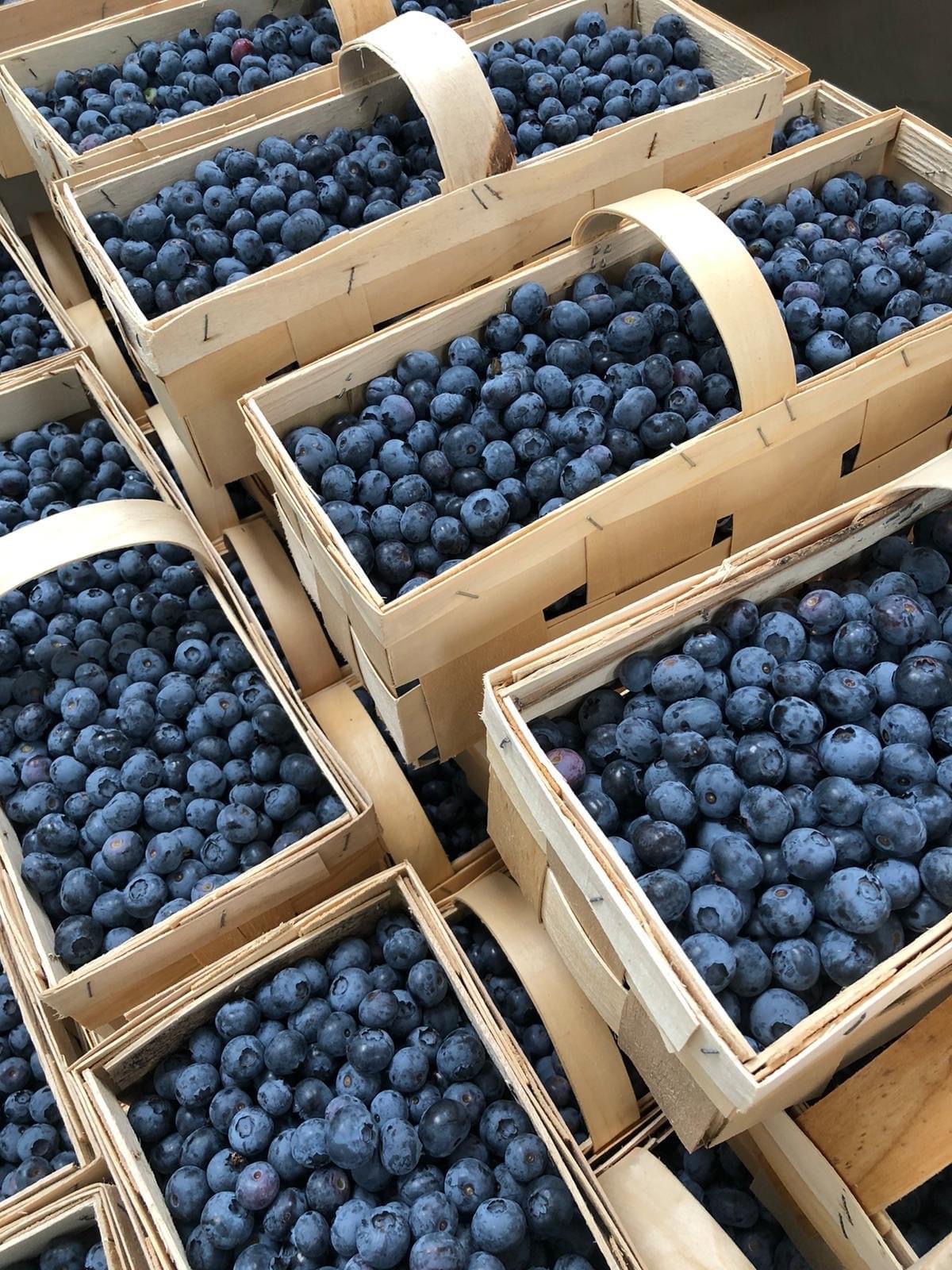 3C1F8E53-363A-4990-B22D-190C2E8CD091