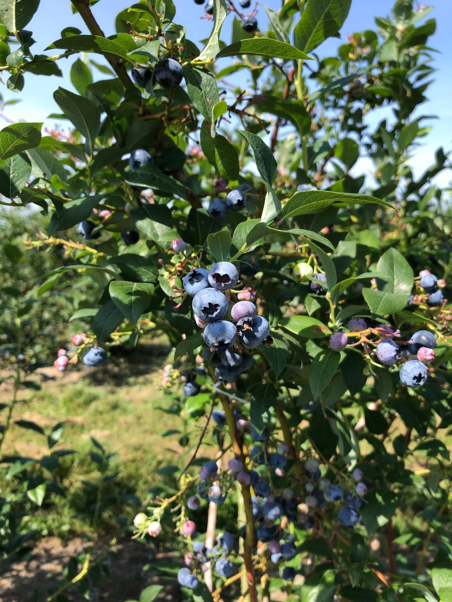 4D375CF3-B706-4CC5-8F4C-B3C8B82AE678