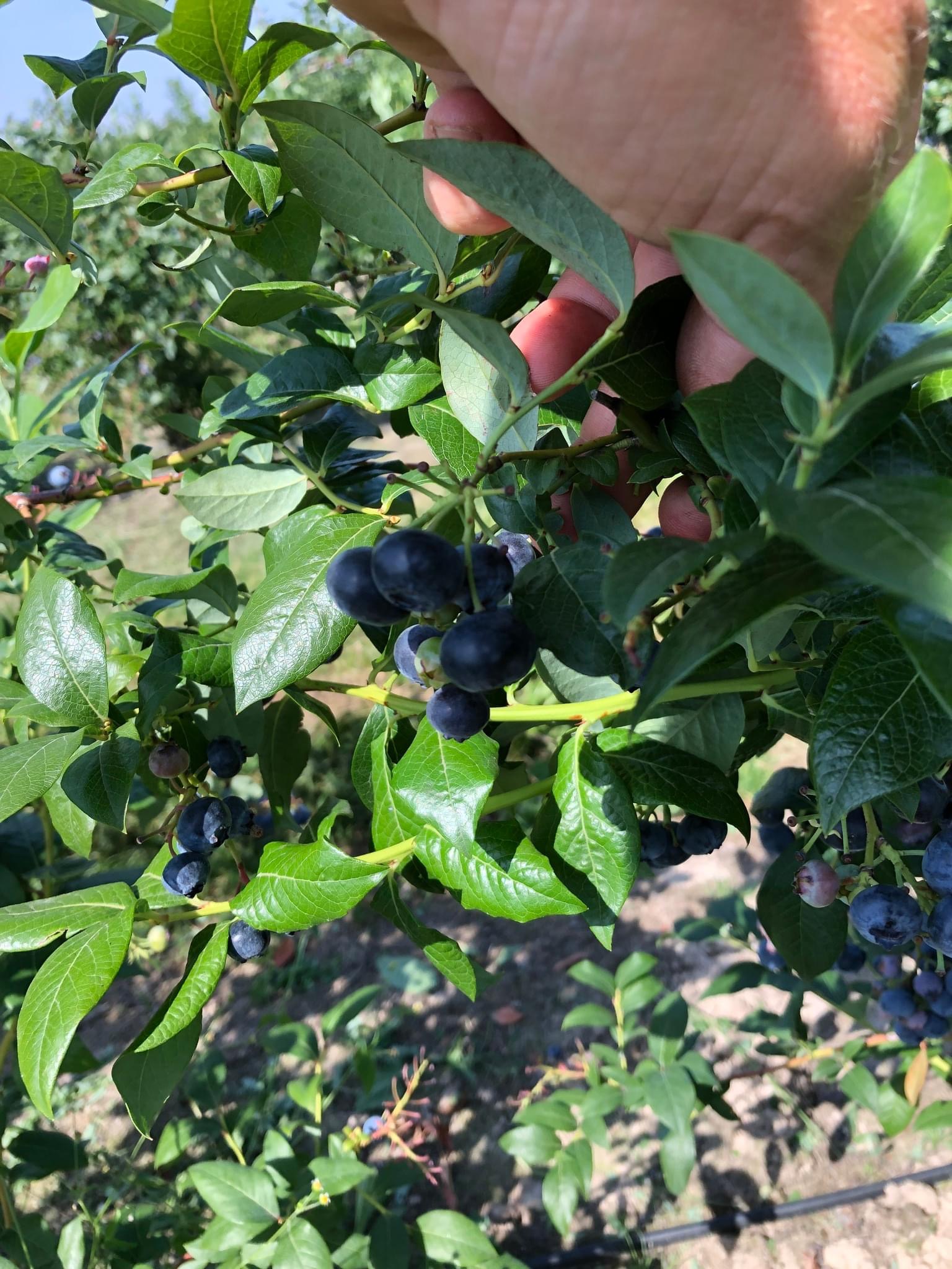 4FC4142B-B36B-4071-9D6F-13D82CA8D4D3