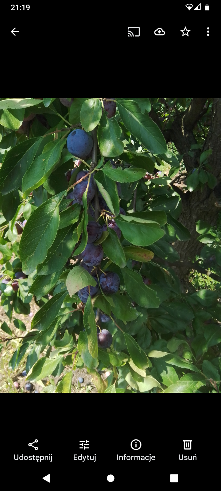 Screenshot_20220803-211946