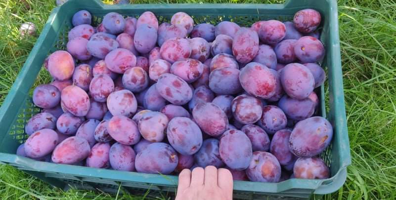 received_1400392197038034