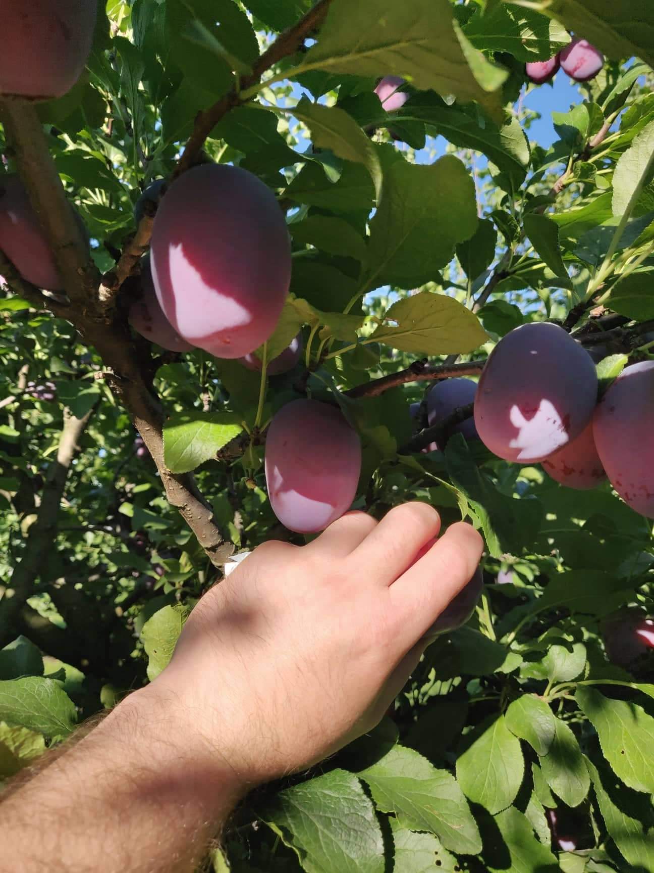 received_3188539468051822