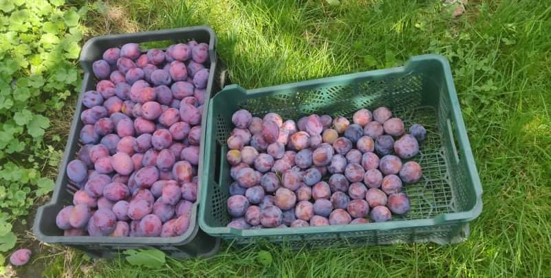 received_380371127610231