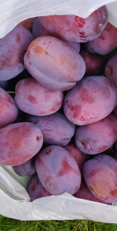 received_459828422684423