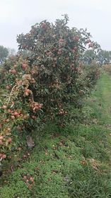 306677334_621021099525136_1256656761488243206_n