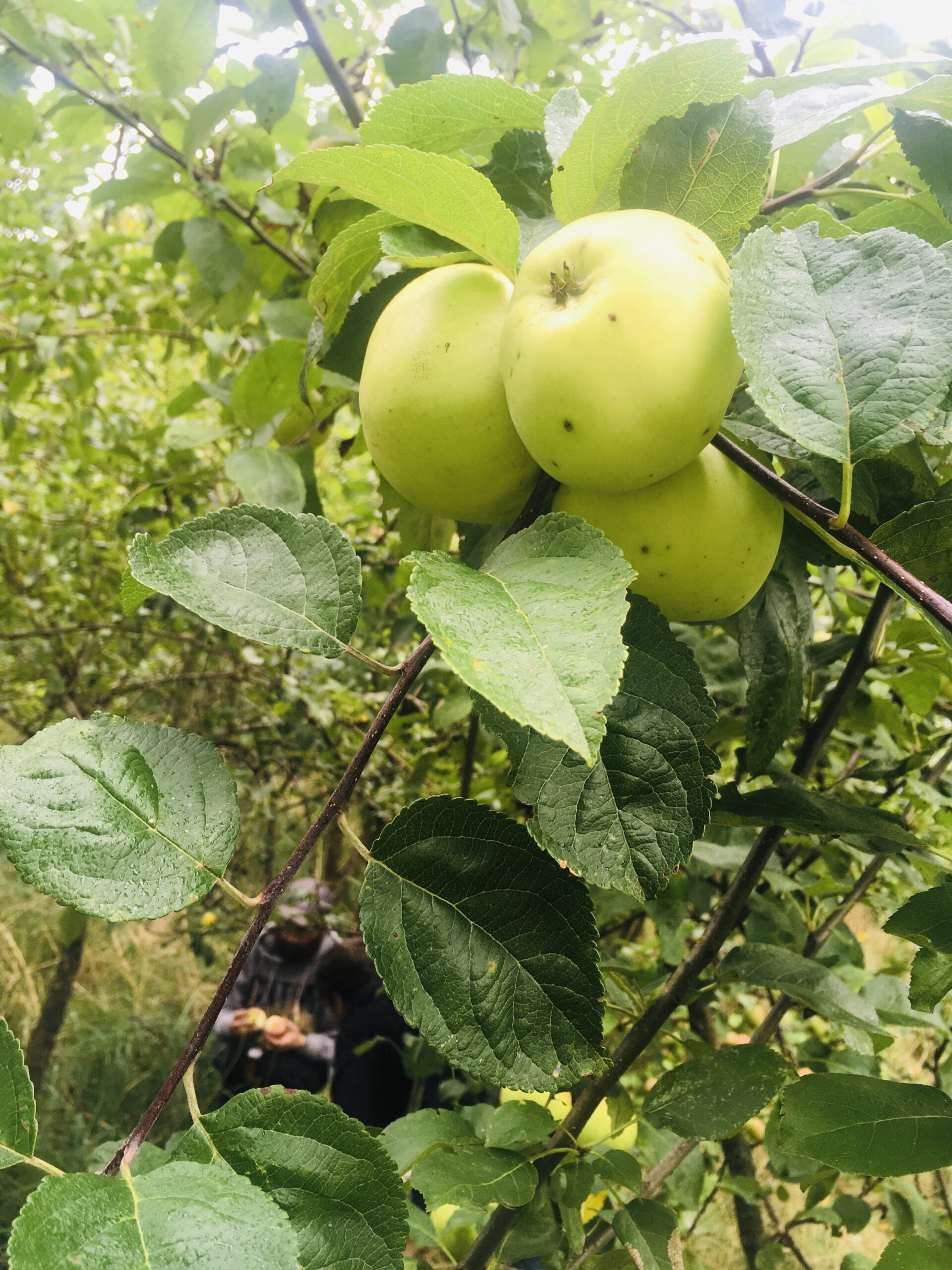 628F4847-9F30-469A-A4C7-0C88F204CE9E