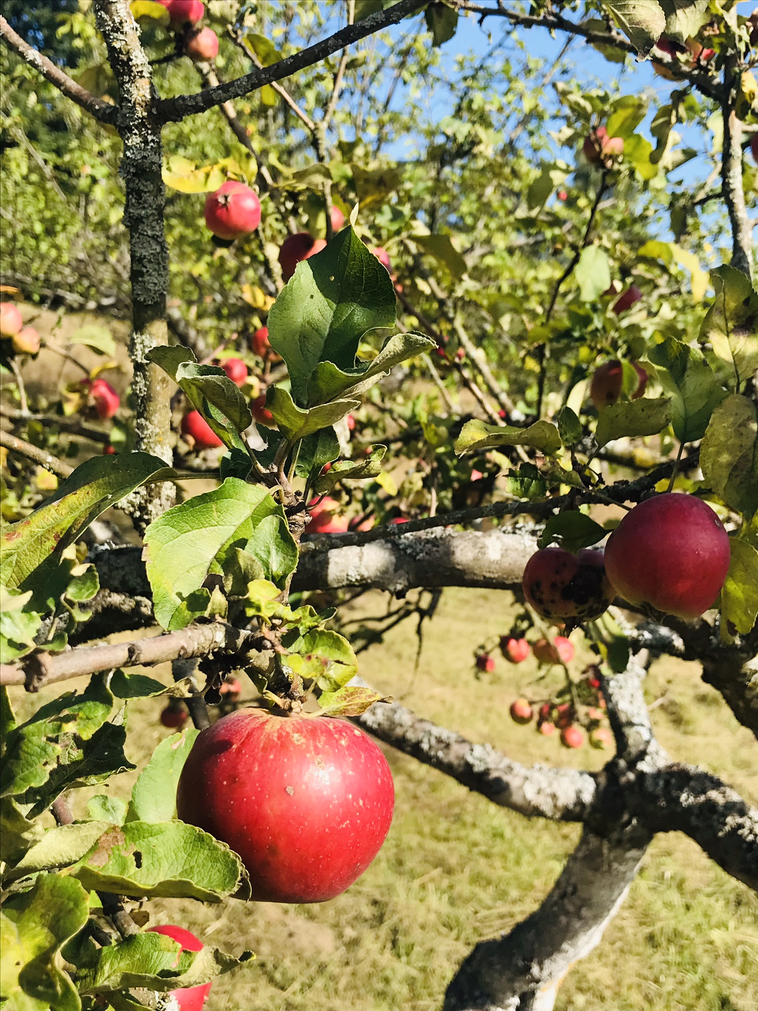 E08389A7-1417-4289-AD1C-582461E5FFFF