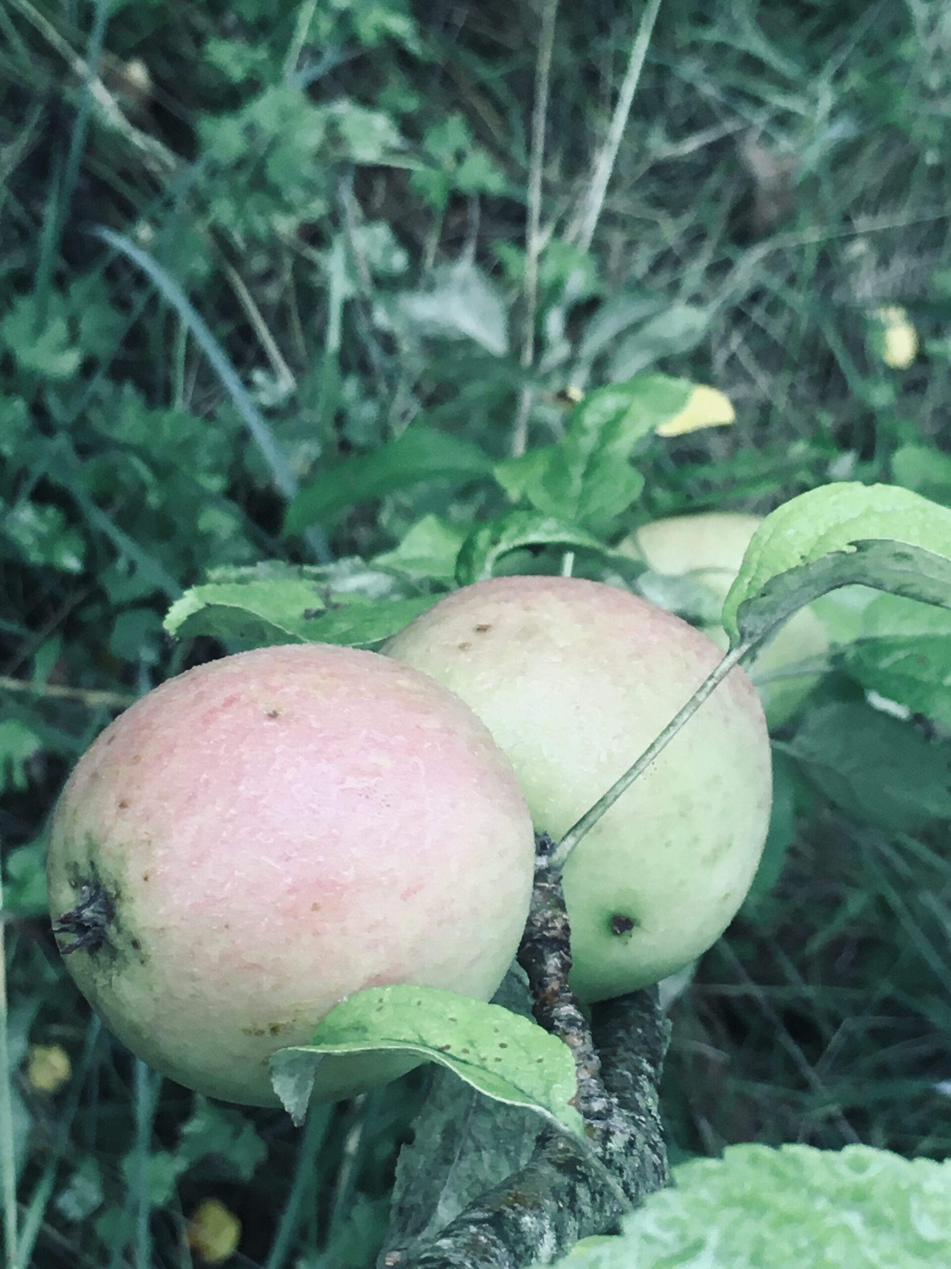 E385F8B9-1A5C-42F4-B6E1-6633671EC13A