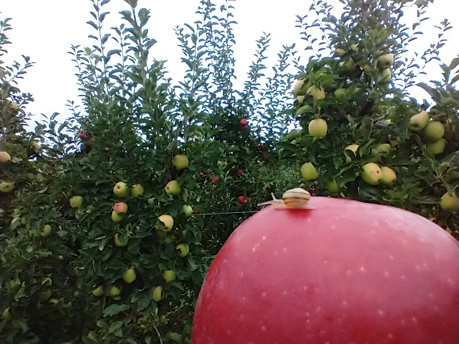 IMG_20220917_093418132