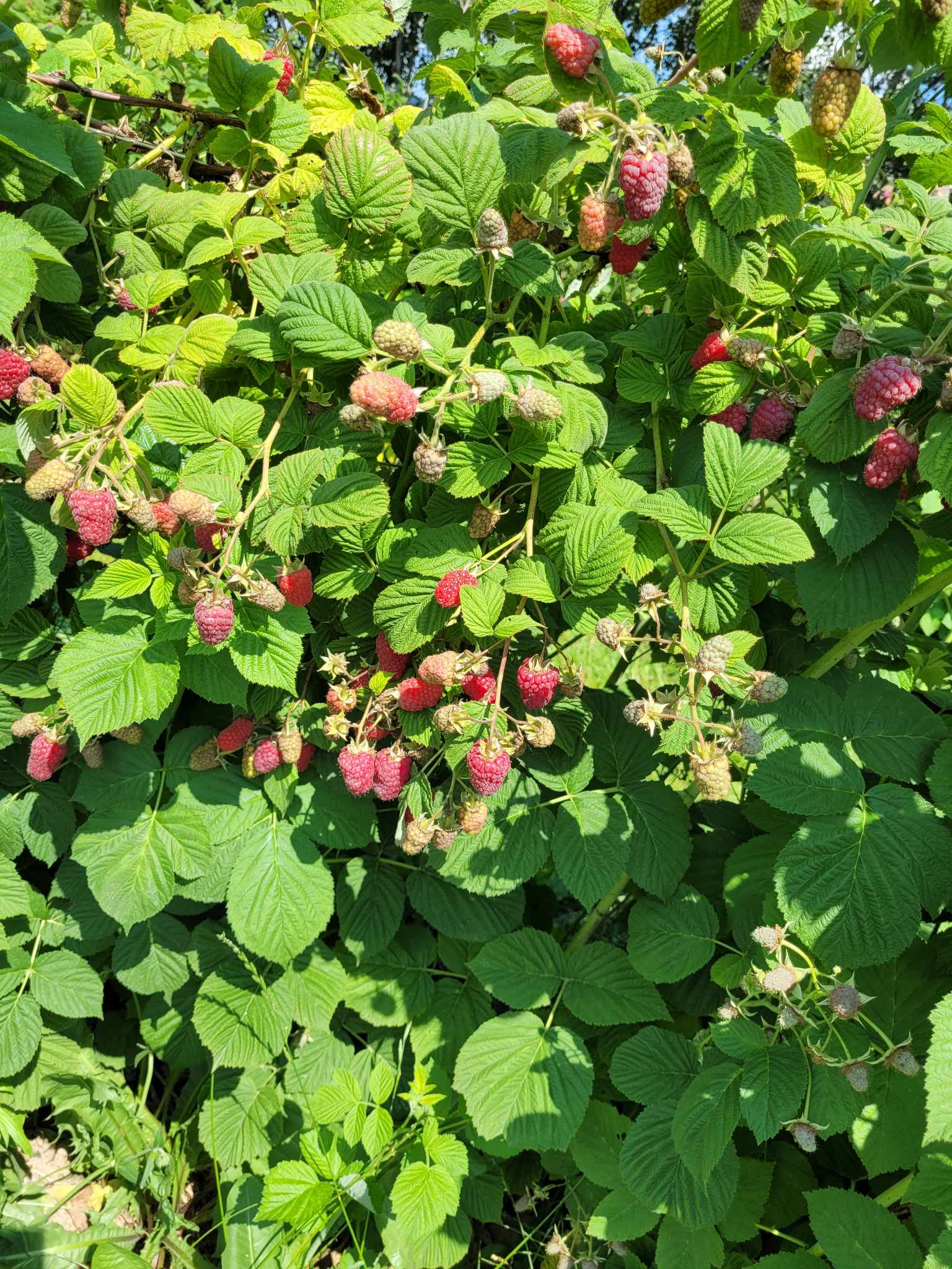 received_675670044388582