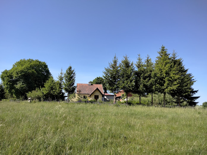 widok-na-domek-od-strony-lasu-1