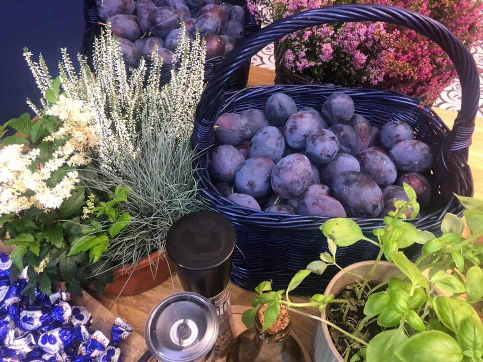 242312236_1220708401762578_1540759291278559168_n