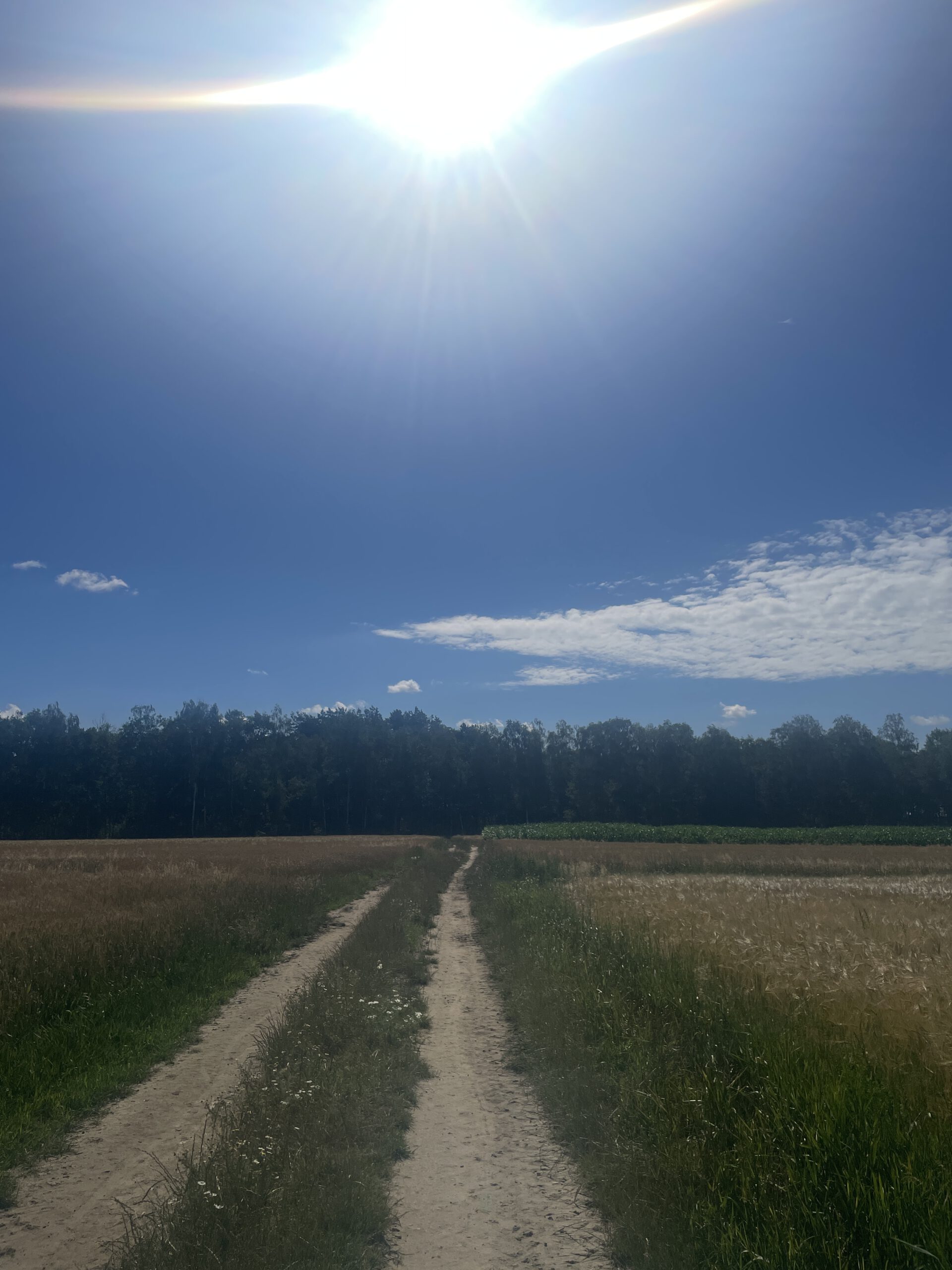 5D922A70-94AE-46EA-B60E-7A5562A6D7F9-scaled-1