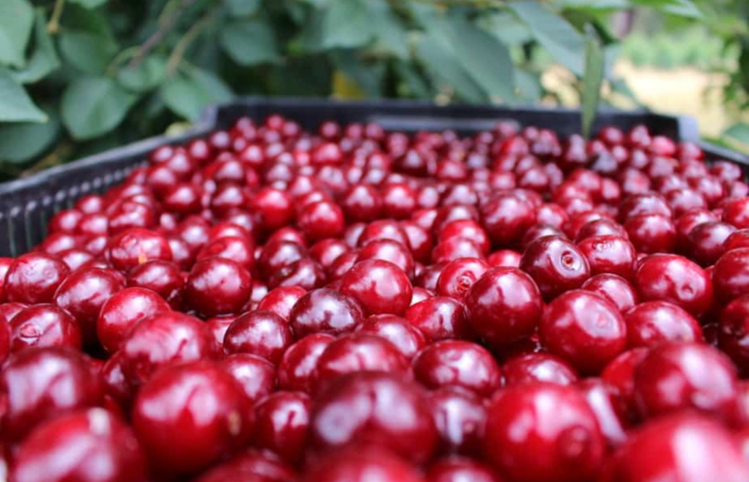 5DB16D09-FF88-4E32-AB98-ACC27A894C78