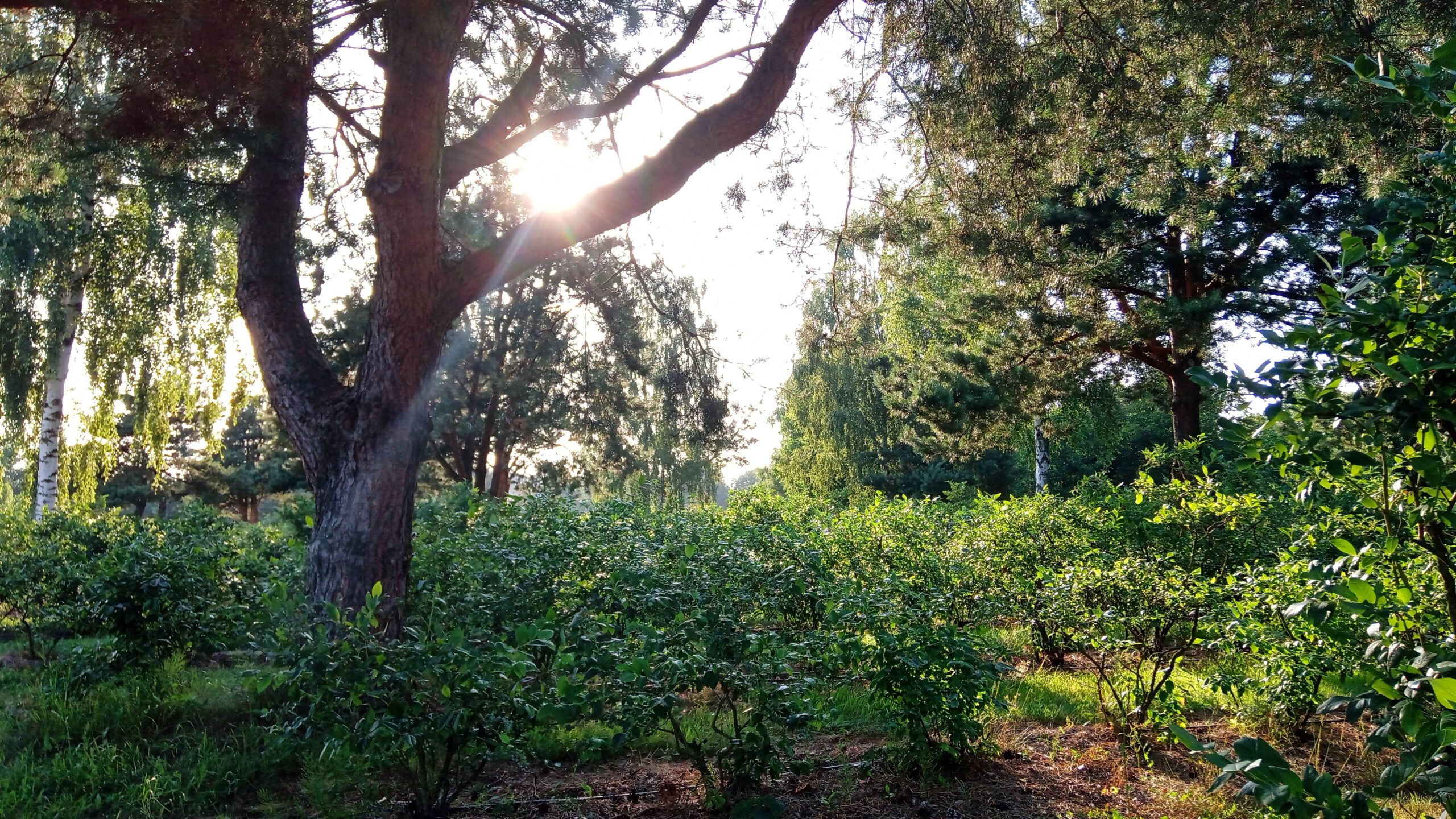 IMG_20230703_183725-min