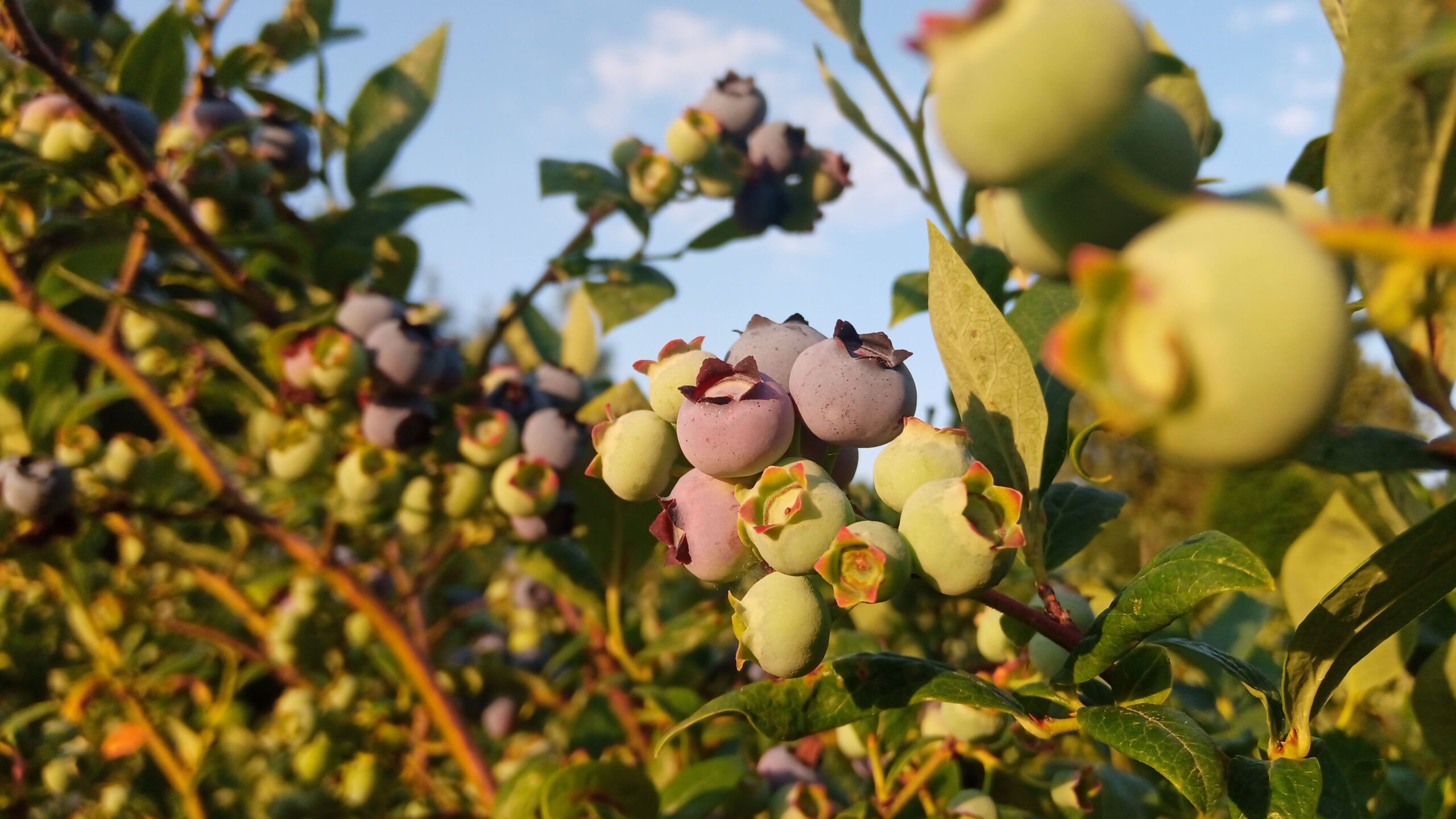 IMG_20230703_192451-min