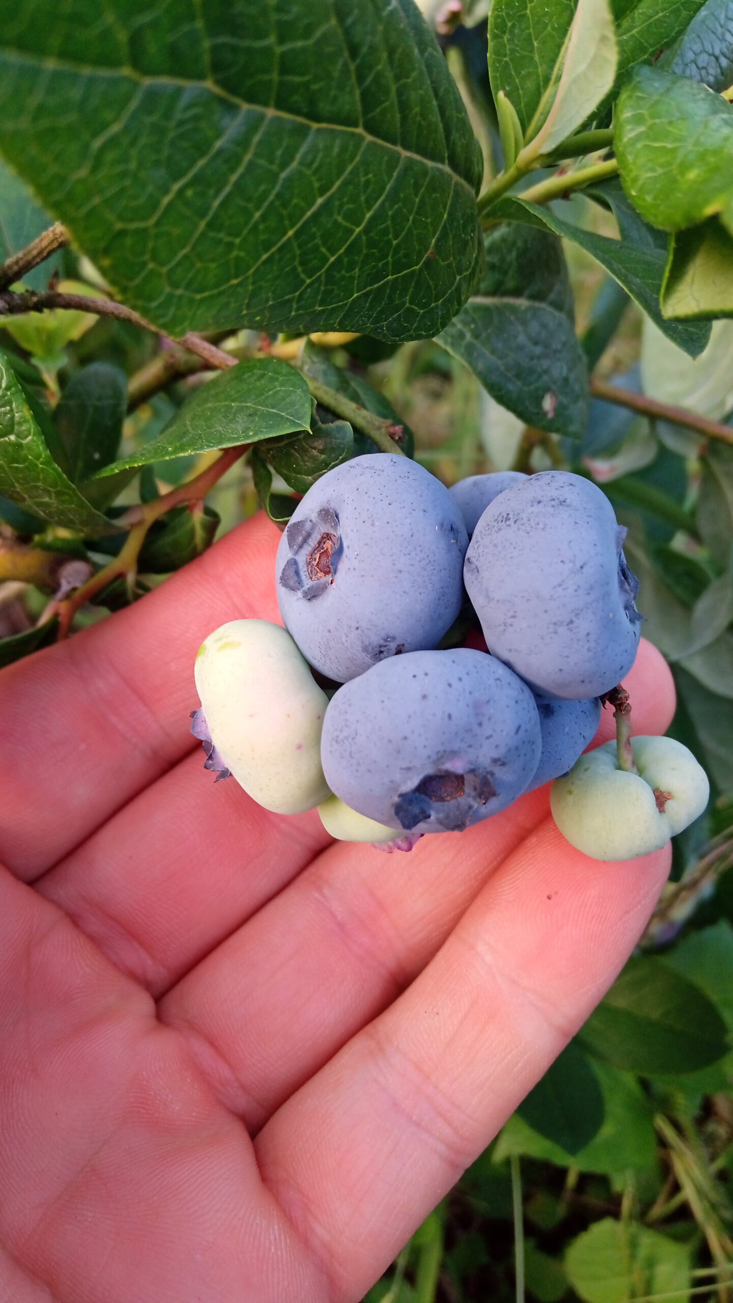 IMG_20230703_193506-min