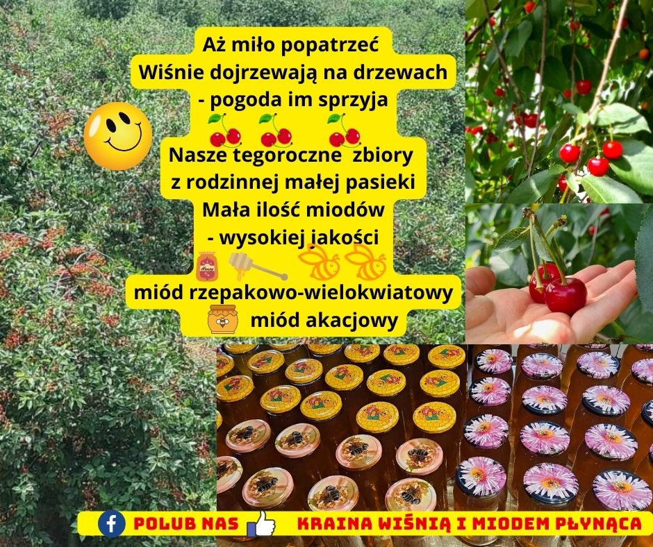 Kopia-DNI-OTWARTE-KRAINA-WISNIA-I-MIODEM-PLYNACA-23-LIPCA-2023