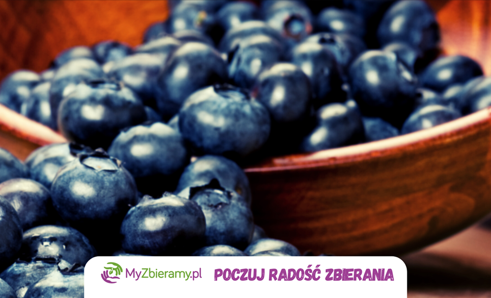 borowki1300_myzbieramy