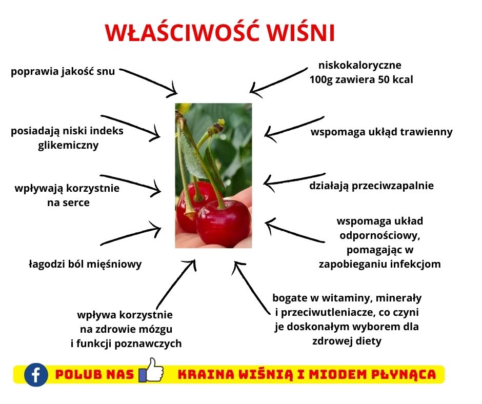 niskokaloryczne-100g-zawiera-50-kcal